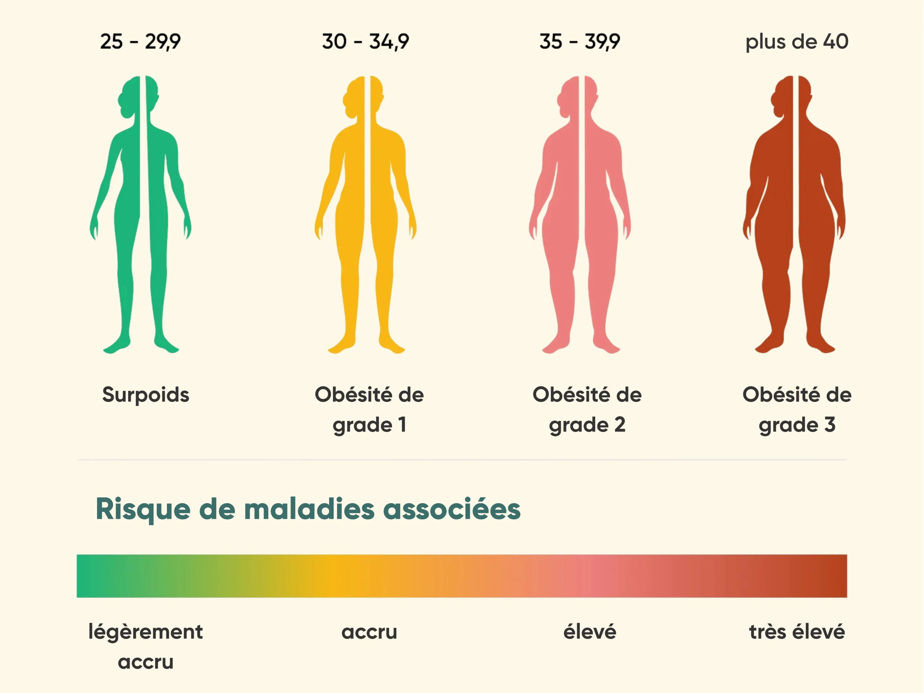 Infographie : IMC par catégorie de surpoids et obésité, avec échelle de risque de maladies.
