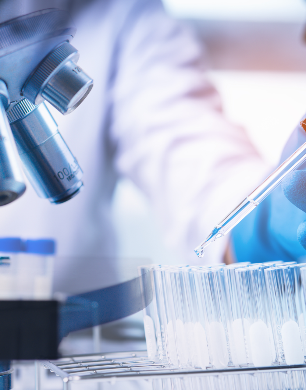 研究をしている手元