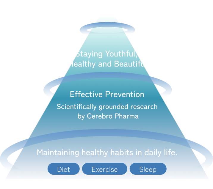 Map aiming for a society without dementia