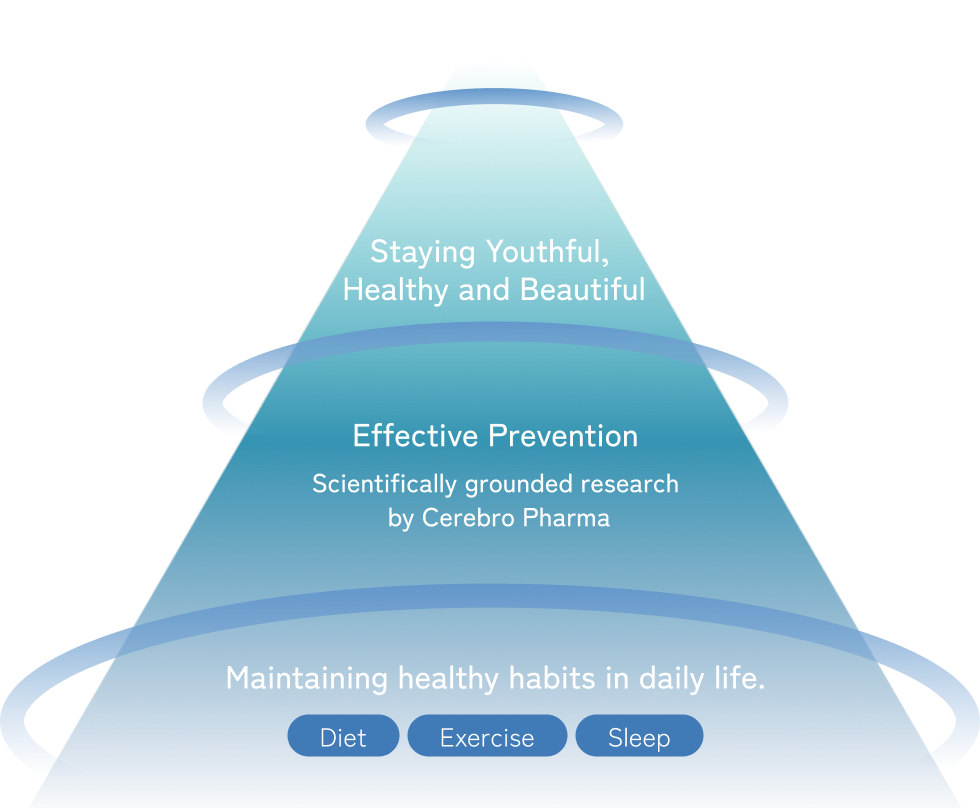 認知症のない社会を目指した図