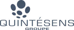 Logo Quintésens Groupe - client Leadvalue