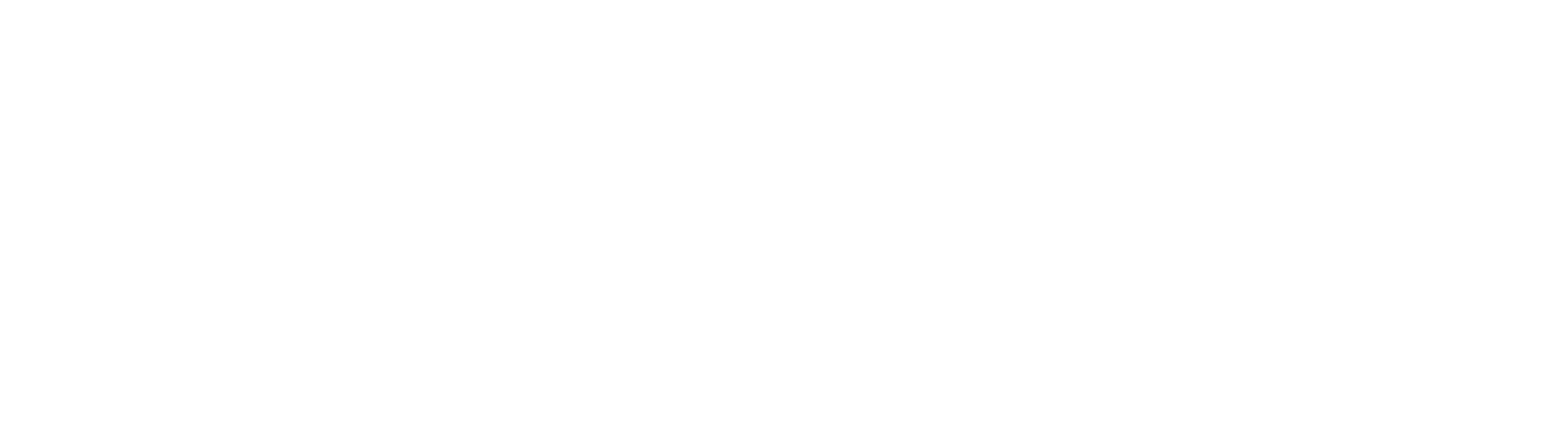 profihand