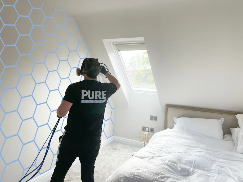 Mold damage restoration