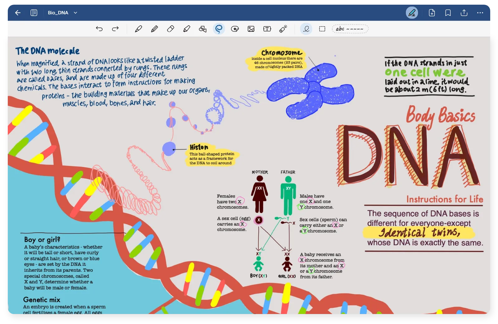 The UI of Goodnotes for Adnroid with the note of DNA