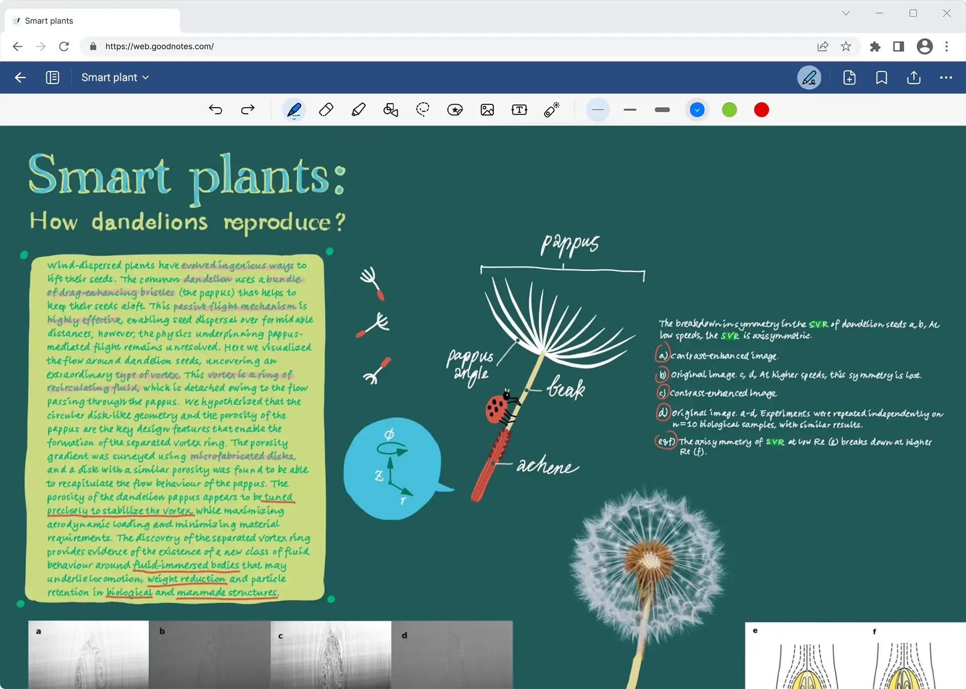 The UI of Goodnotes for browser with the note of dandelions