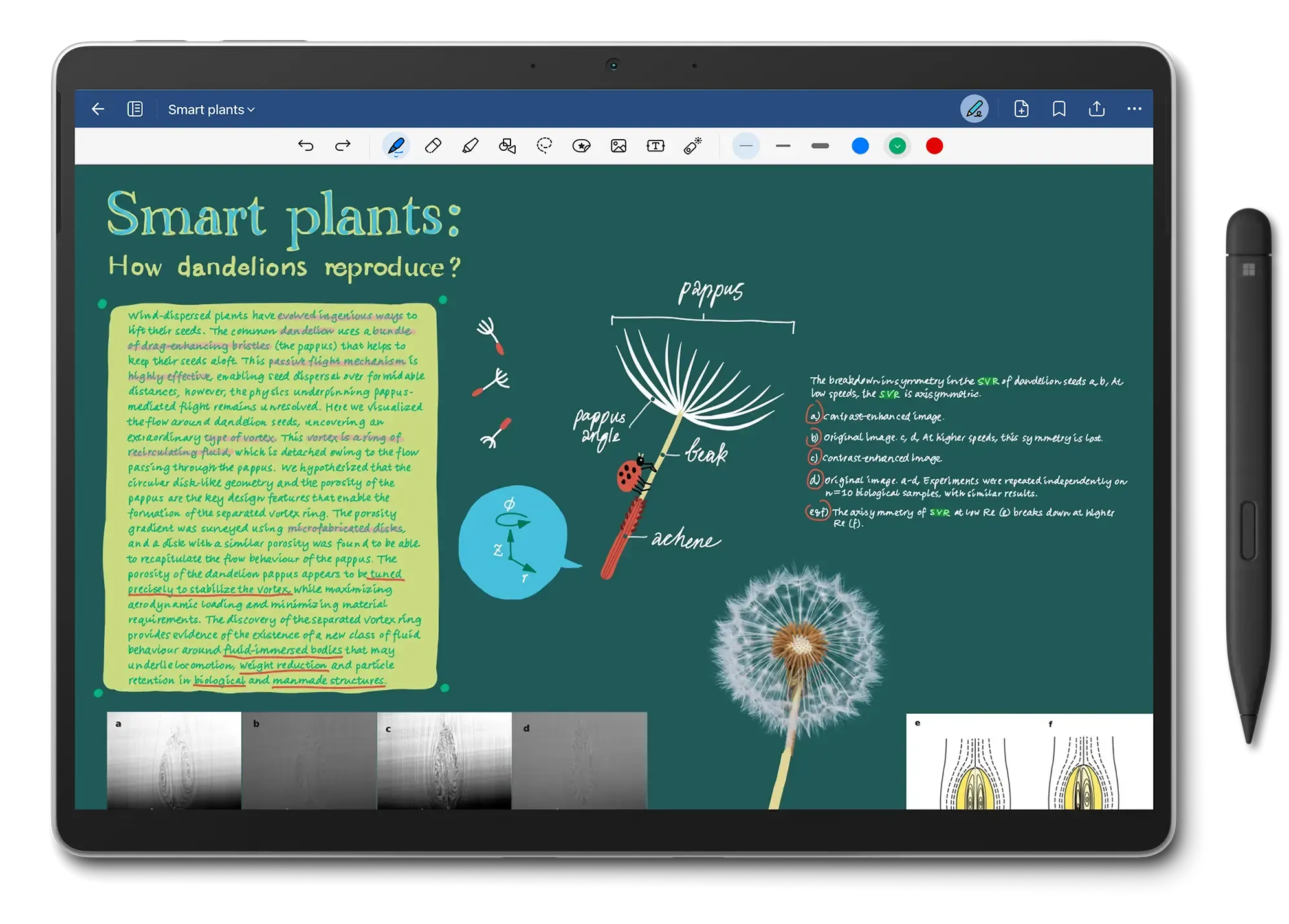 The UI of Goodnotes for Windows with the note of dandelions