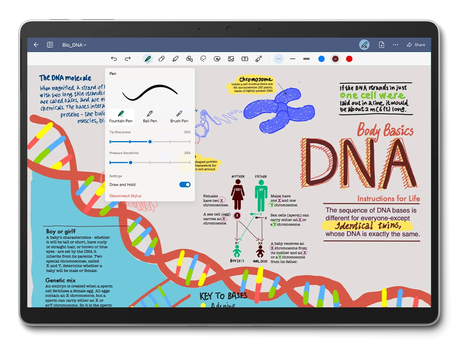 The UI of Goodnotes for Windows with the note of DNA
