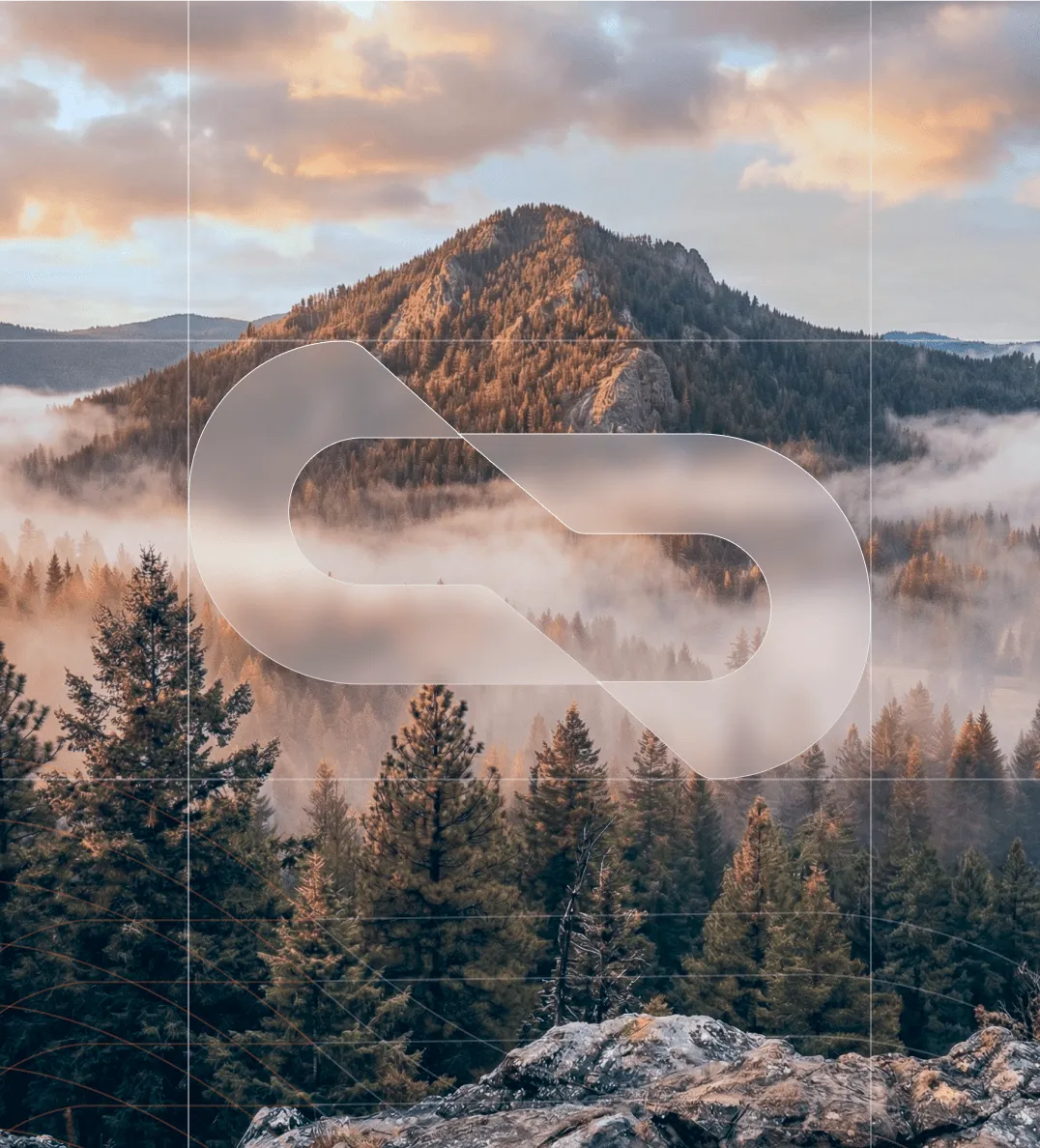 Mountain covered with dense pine forest and mist under a cloudy sky during sunrise or sunset.