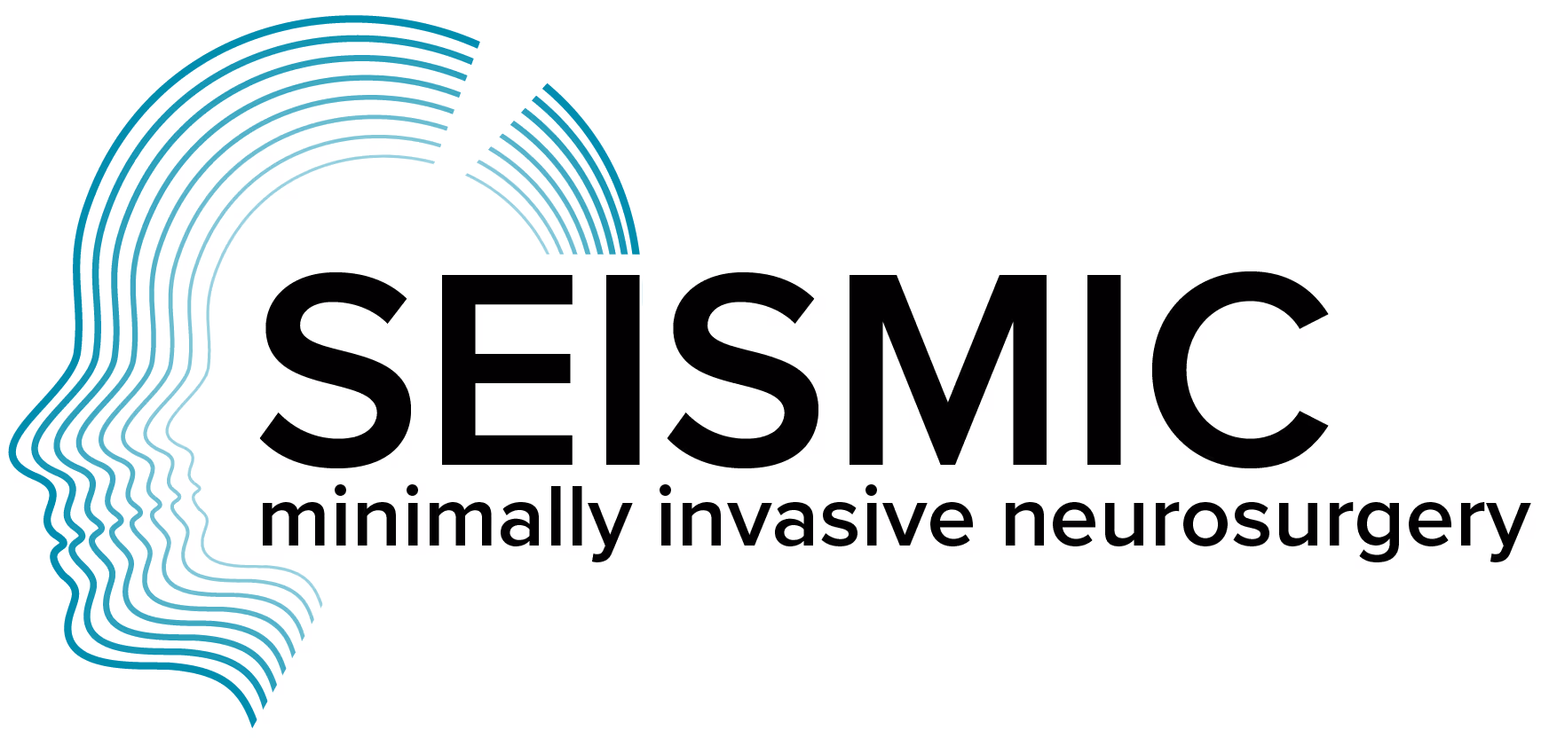Logo with stylized multiple profile outlines in blue lines next to bold text 'SEISMIC' and smaller text 'minimally invasive neurosurgery'.