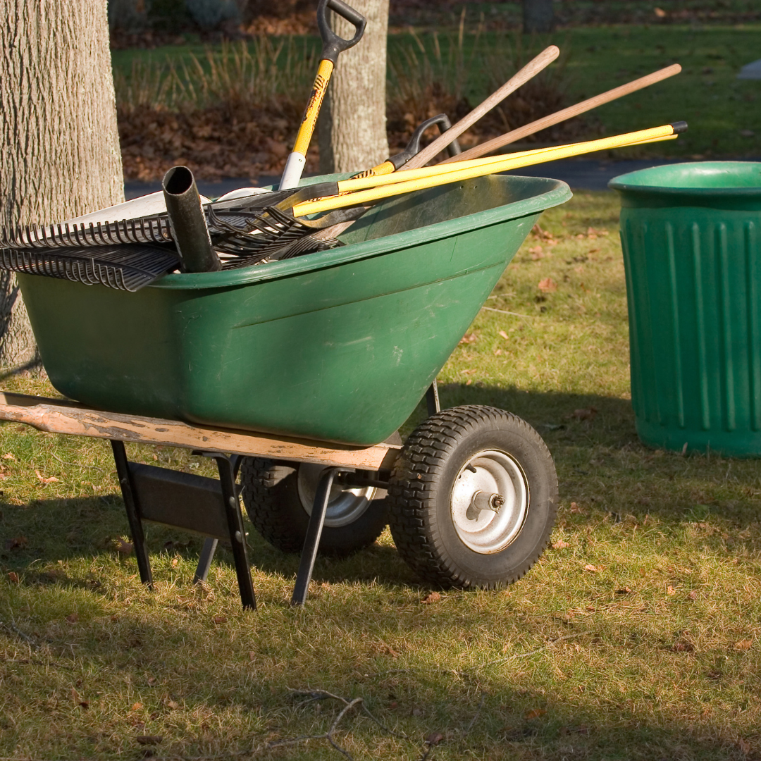 fall cleanup chesapeake