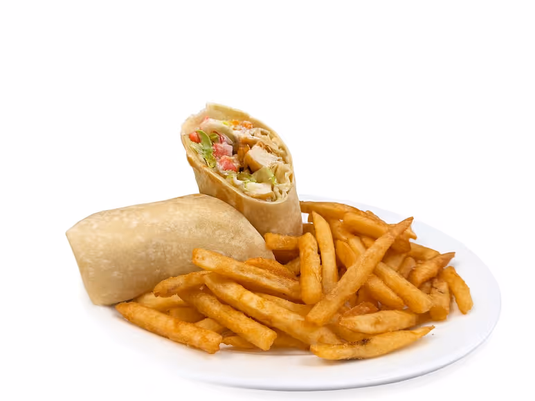 A plate of french fries and a wrap.