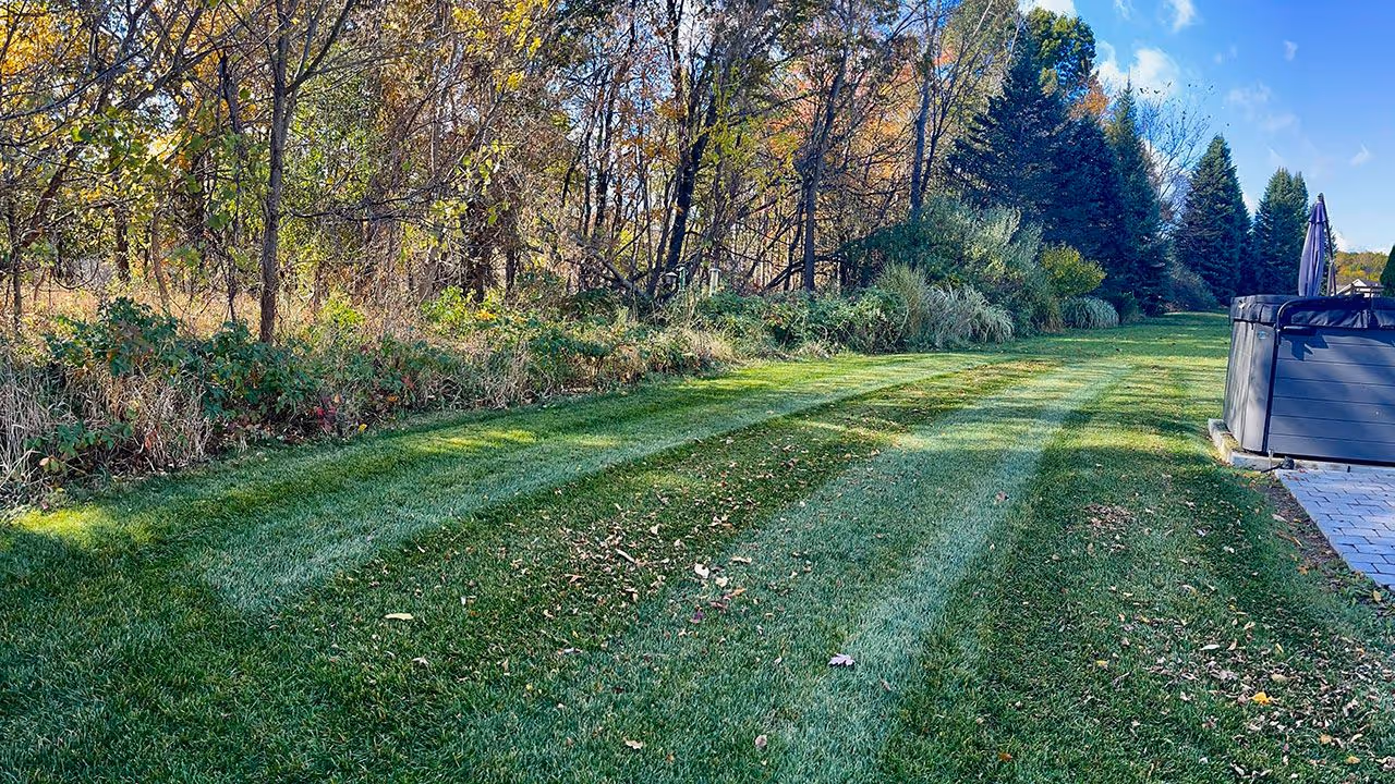 Healthy green lawn maintained by The Turf Therapist