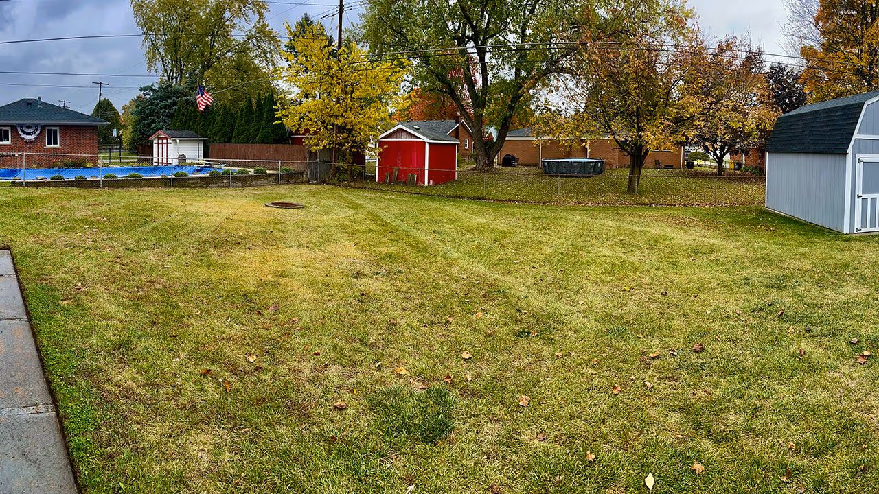 Seasonal yard cleanup service near me by The Turf Therapist