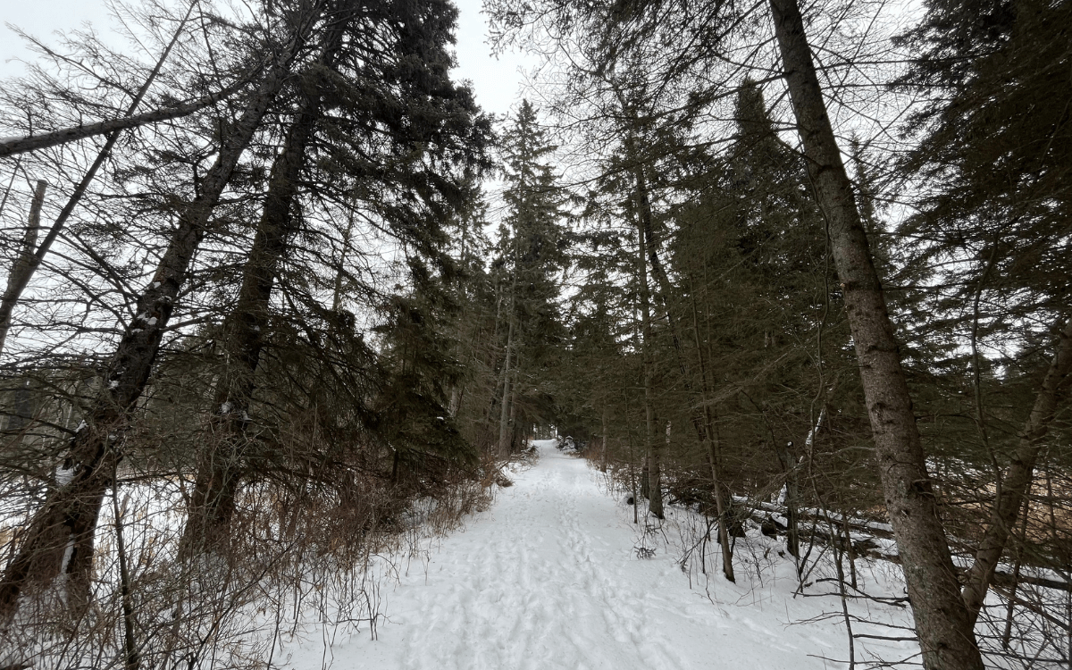 Adventure Vacation Packages