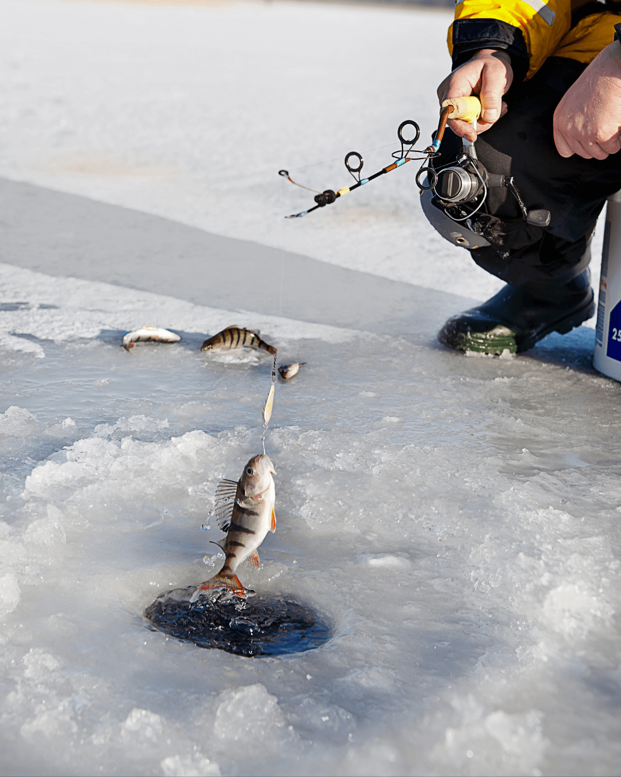 Ice Fishing