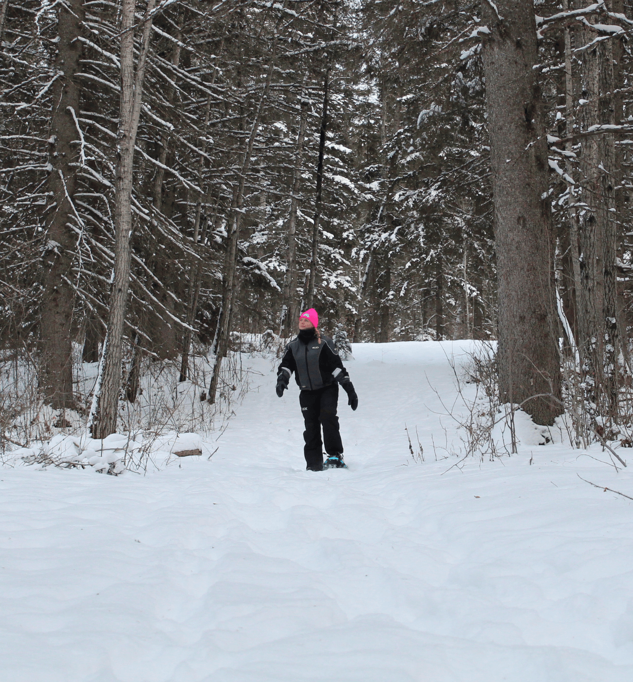 Snowshoe Adventure Package