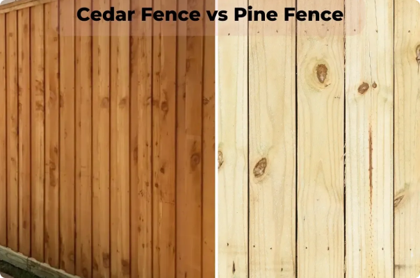 cedar and pine fence 