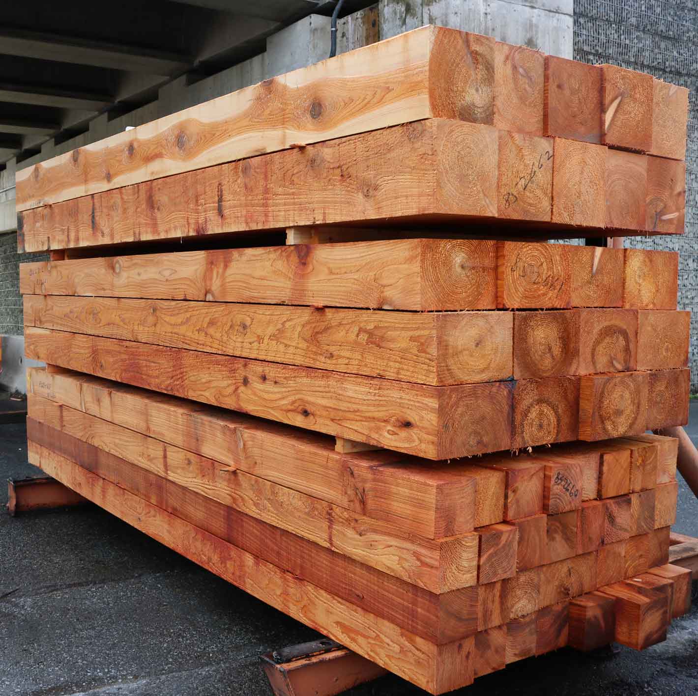 stack of western red cedar 8 x 8's
