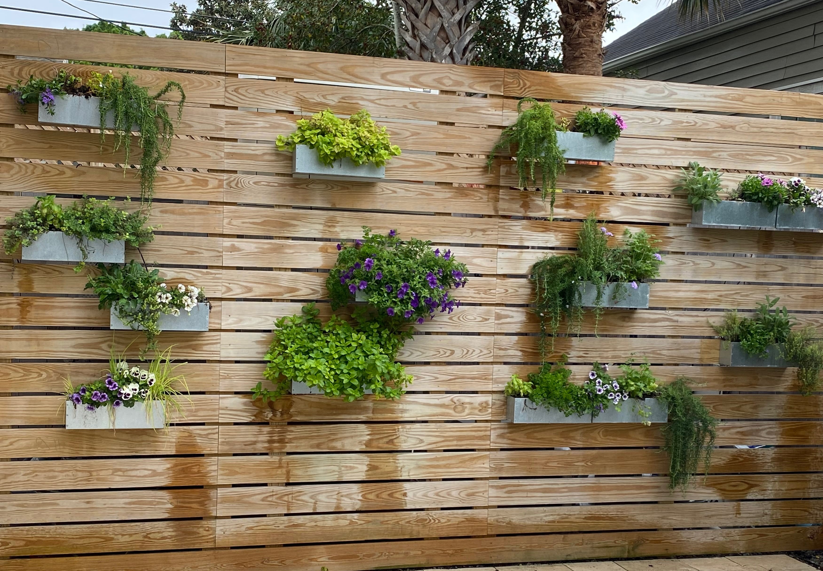 picture of a pine fence 