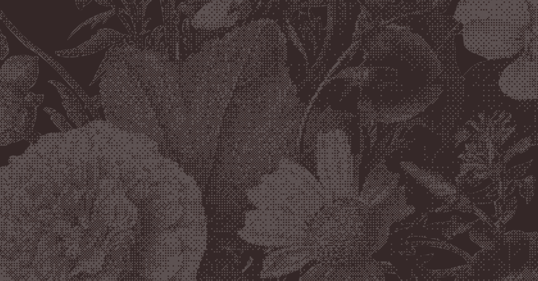 Beautiful wellness practice data analytics dashboard with dithered graphic effect