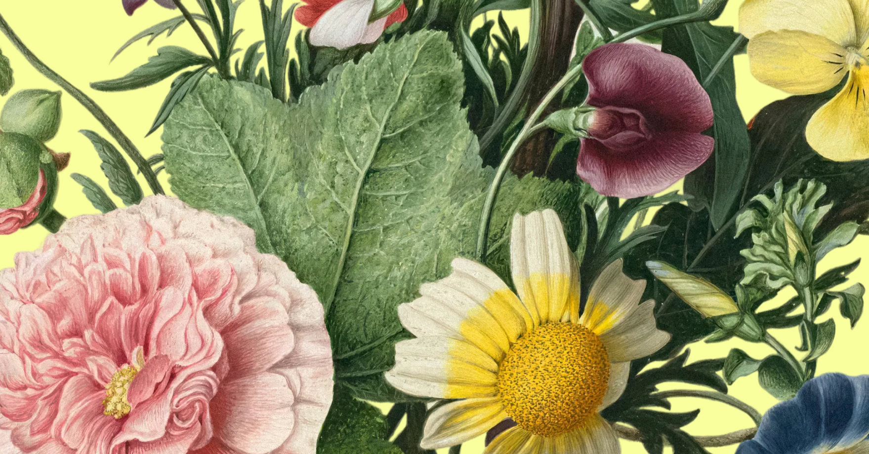 Colorful wellness data analytics visualization