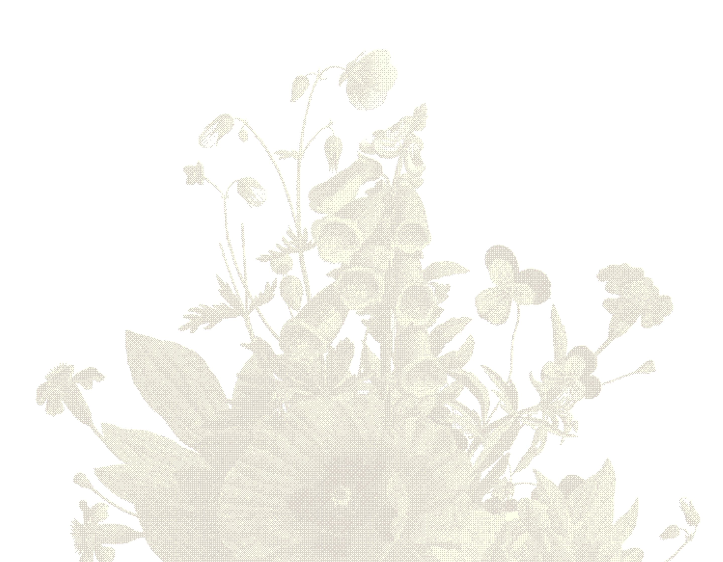 Decorative flower background graphic