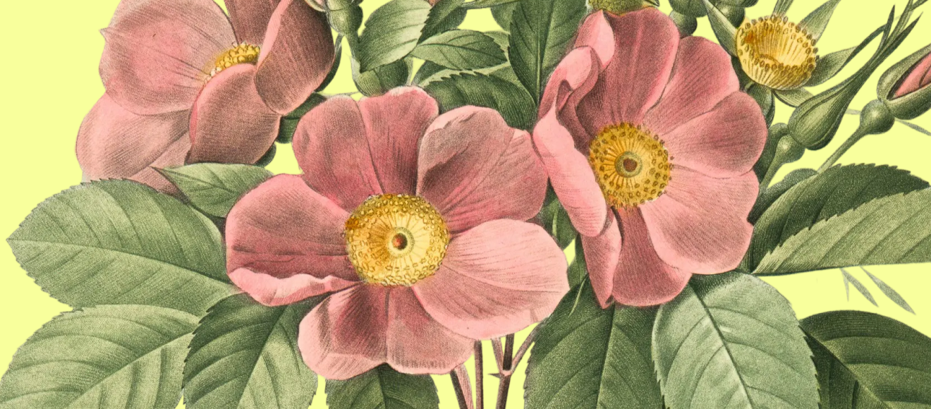 About us hero colorful visualization