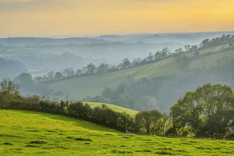 The rolling hills of South Devon