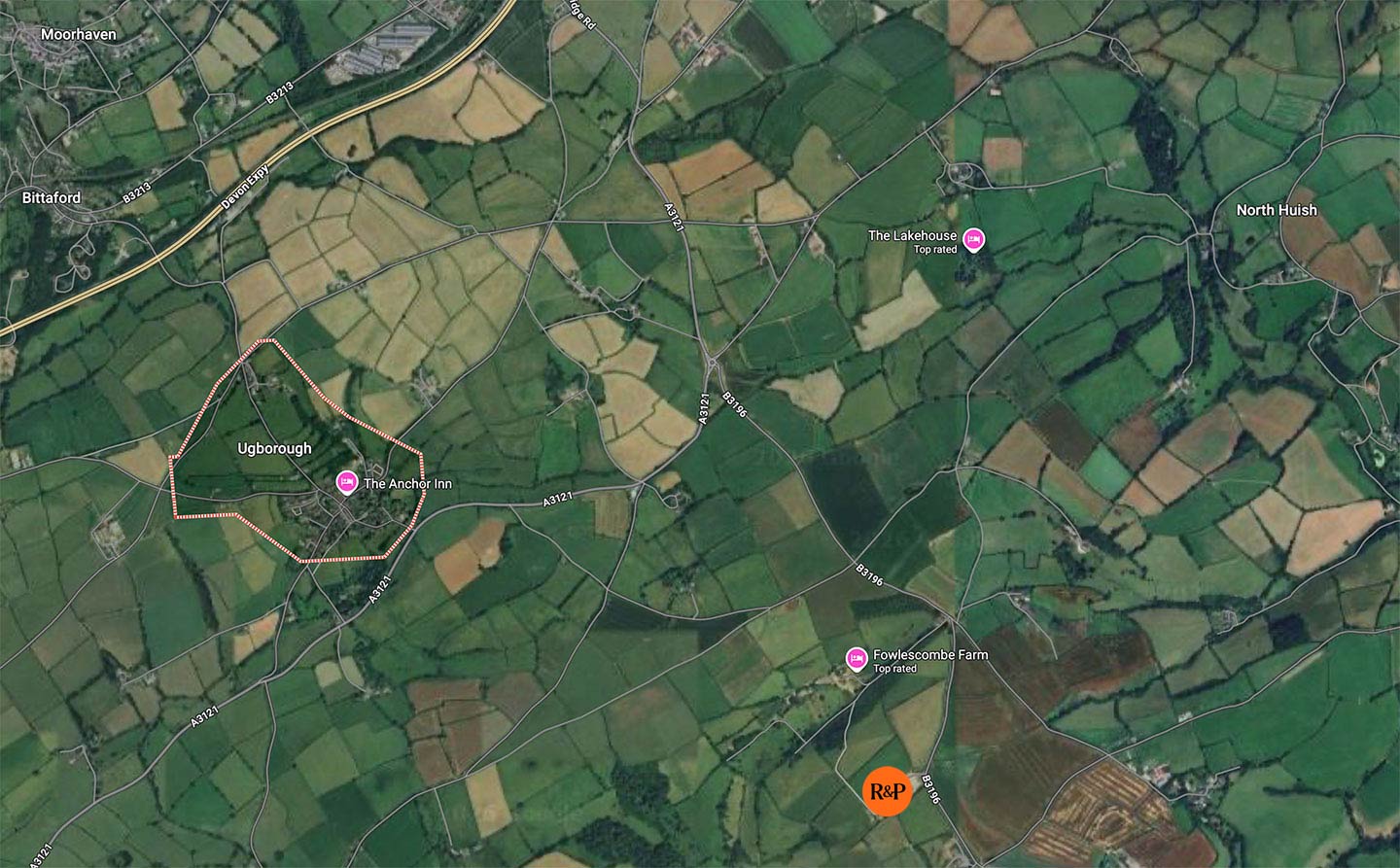 Rare & Pasture, Devon