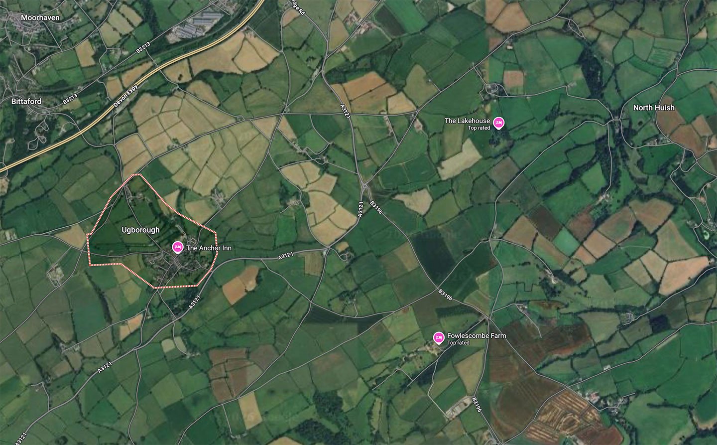 Rare & Pasture, Devon
