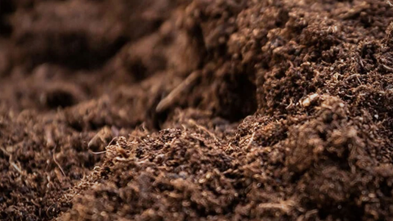 Soil health