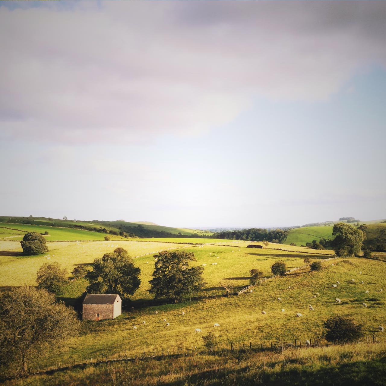 Managed farms