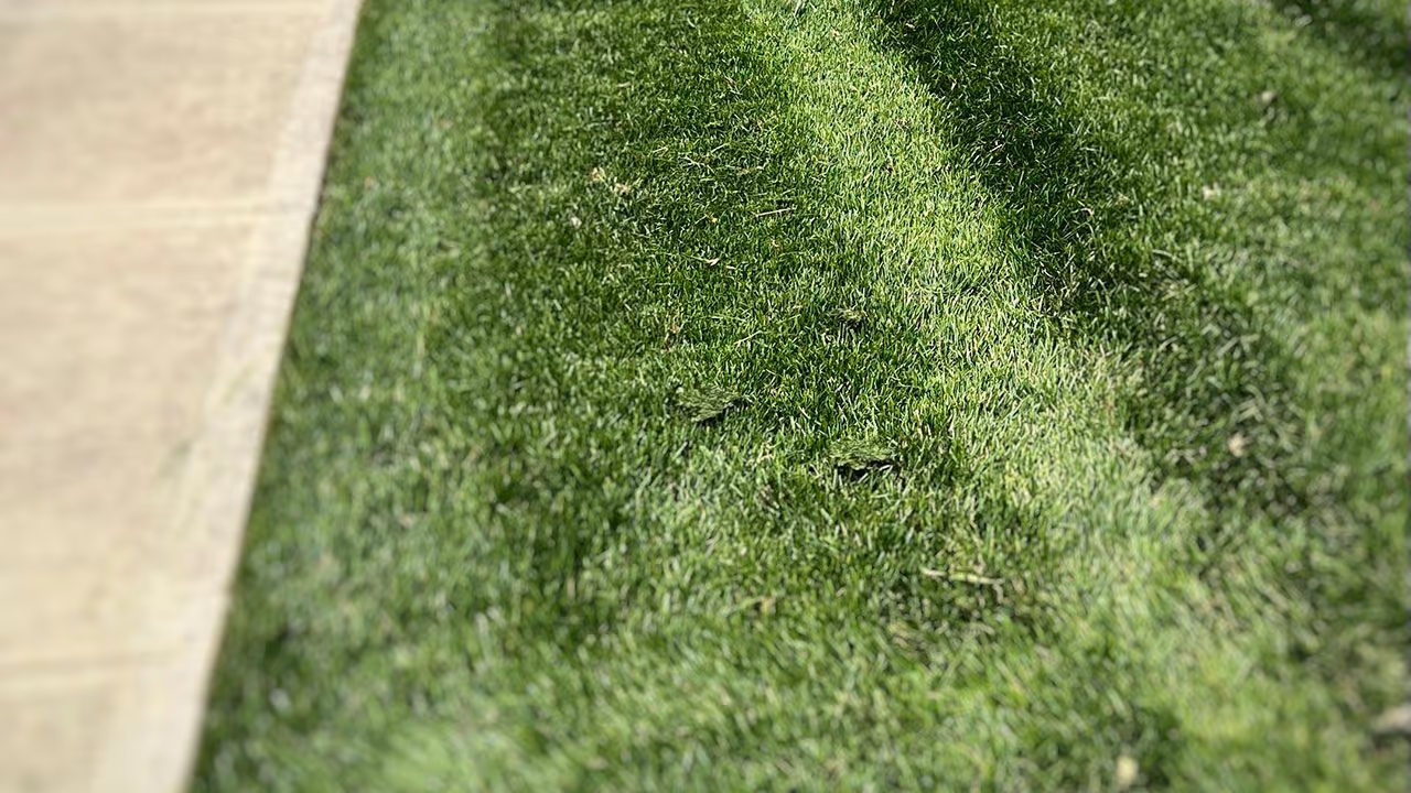 Lawn fertilization and weed control services by Gould Brothers Outdoor Solutions LLC