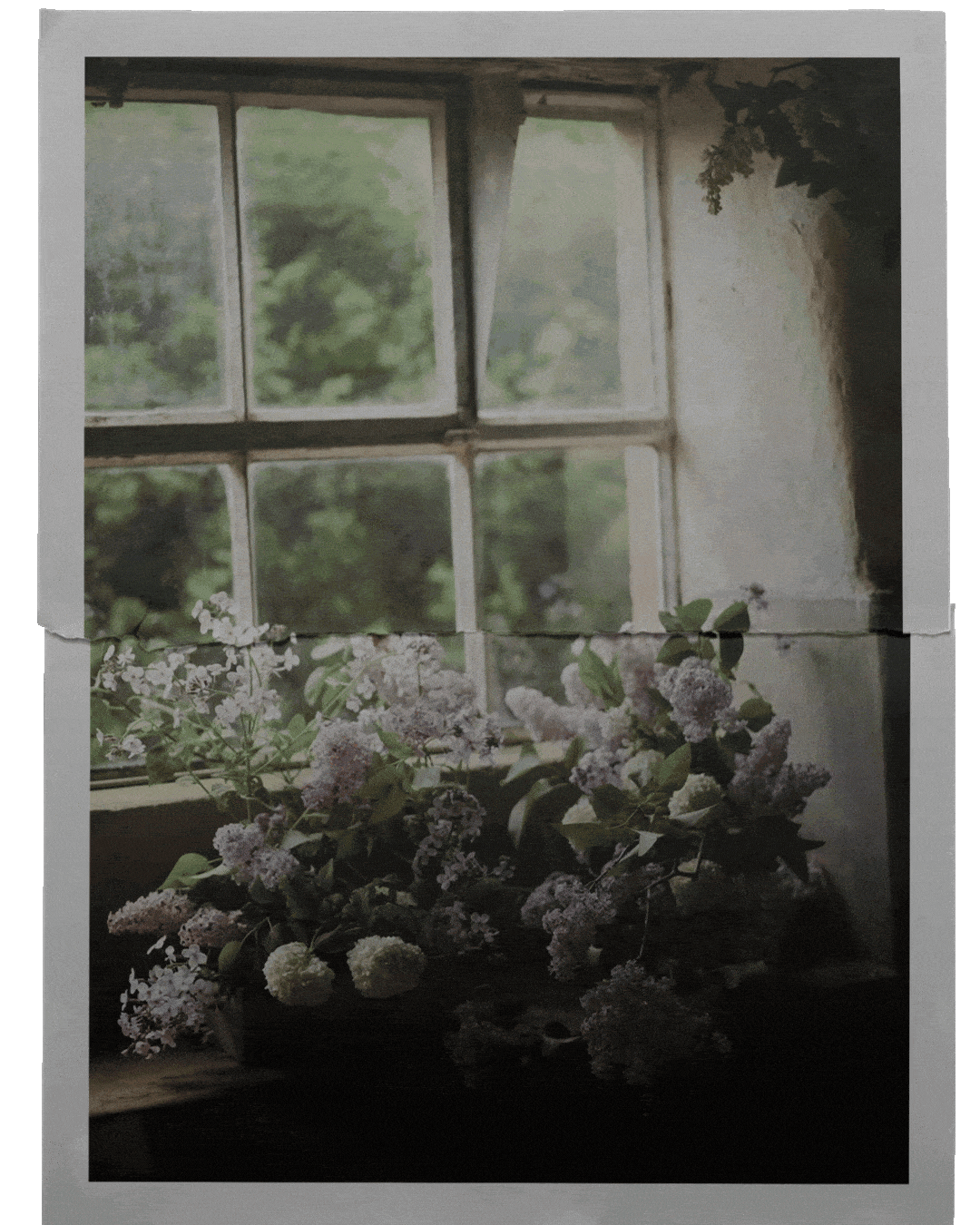 A gif of floral images