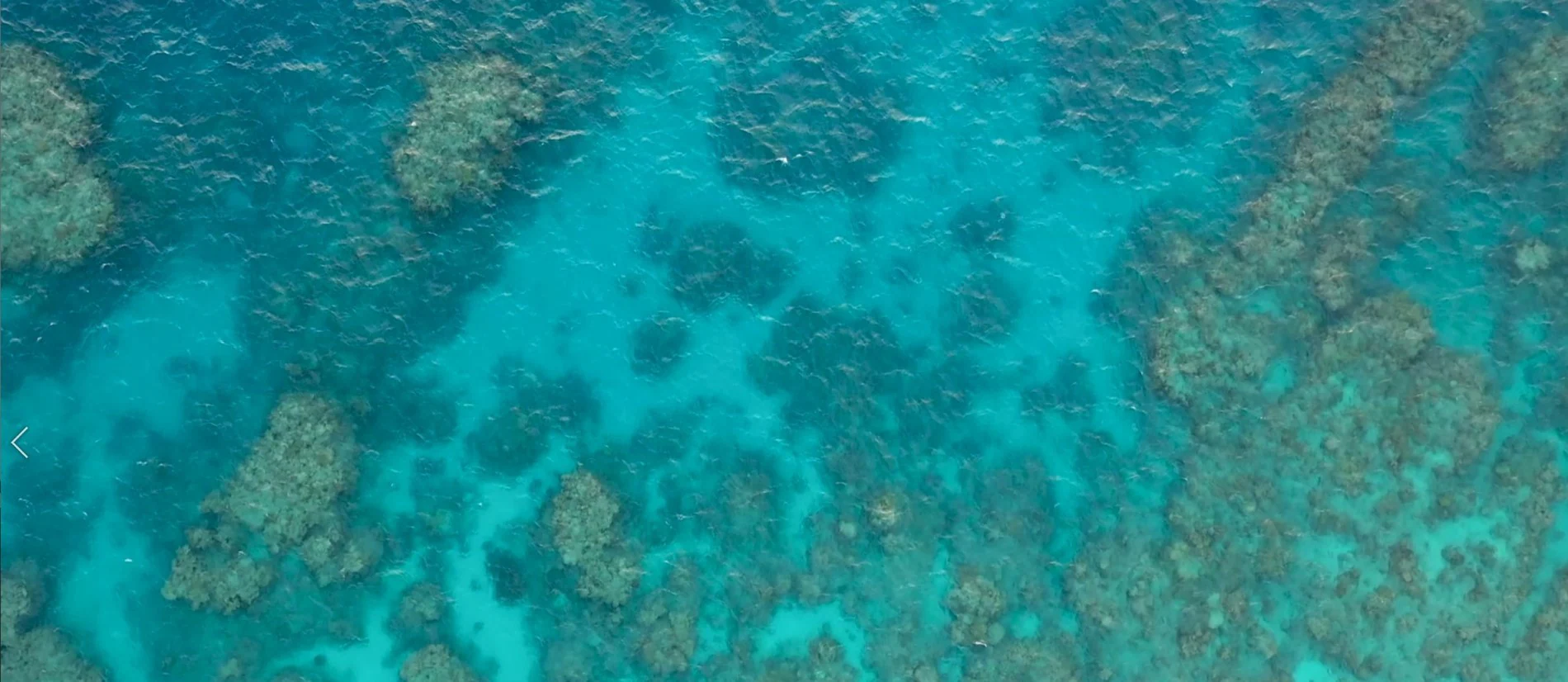 Aerial view of vibrant turquoise water with rocky formations and coral reefs.