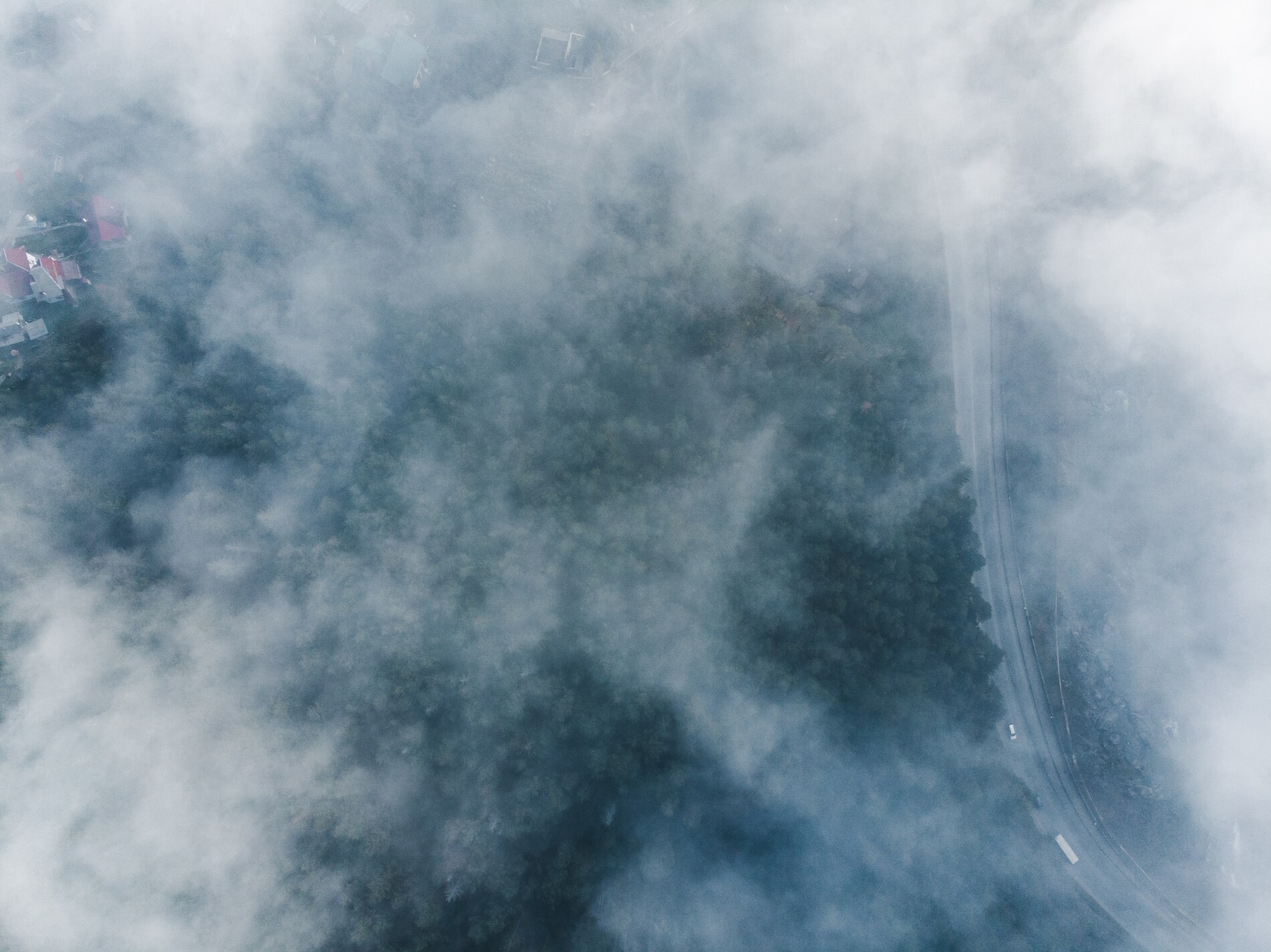 Aerial view of a forest shrouded in thick fog, with a winding road visible on the edge.