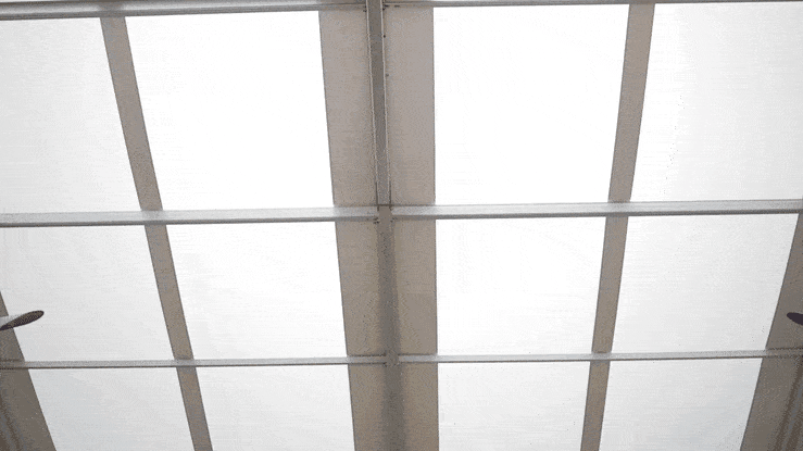 A ceiling with white panels and metal beams, featuring ceiling fans and natural light filtering