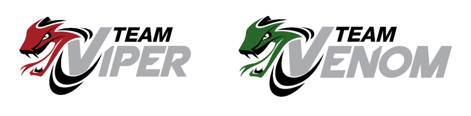 Logos for "Team Viper" in red and "Team Venom" in green, with stylized snake designs.