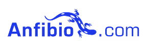 Anfibio.com Schriftzug mit blauer stilisierter Echse als Logo.