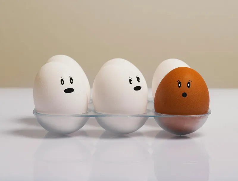 image of a user interacting with the software on a laptop