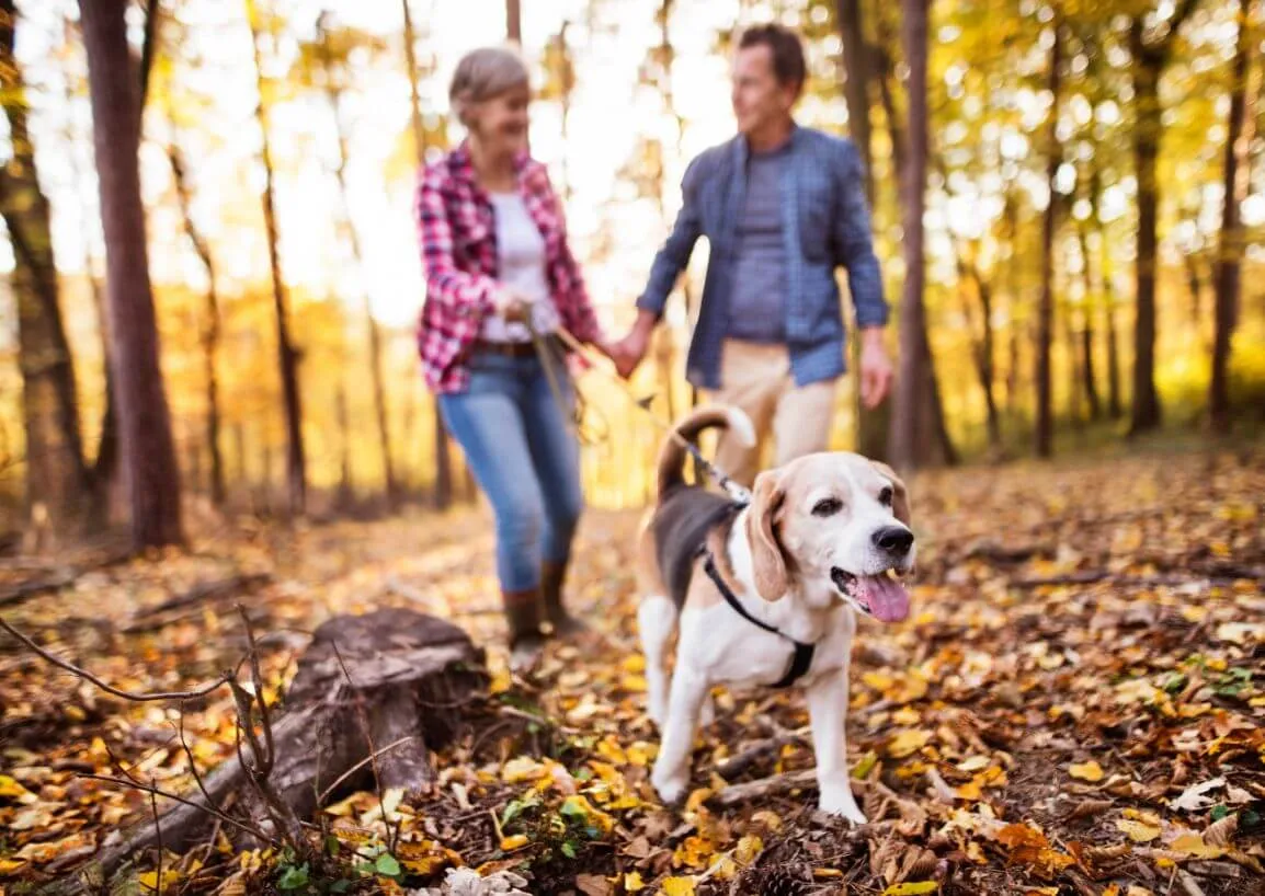a man and woman walking a dog through a forest