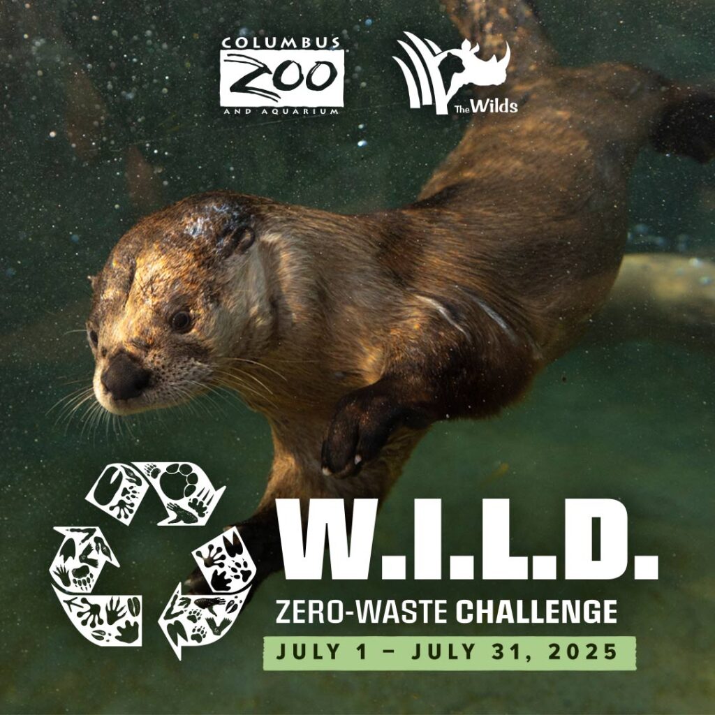 A graphic depicting an otter with the WILD Zero Waste Challenge logo and time frame. It also includes a recycling symbol. 