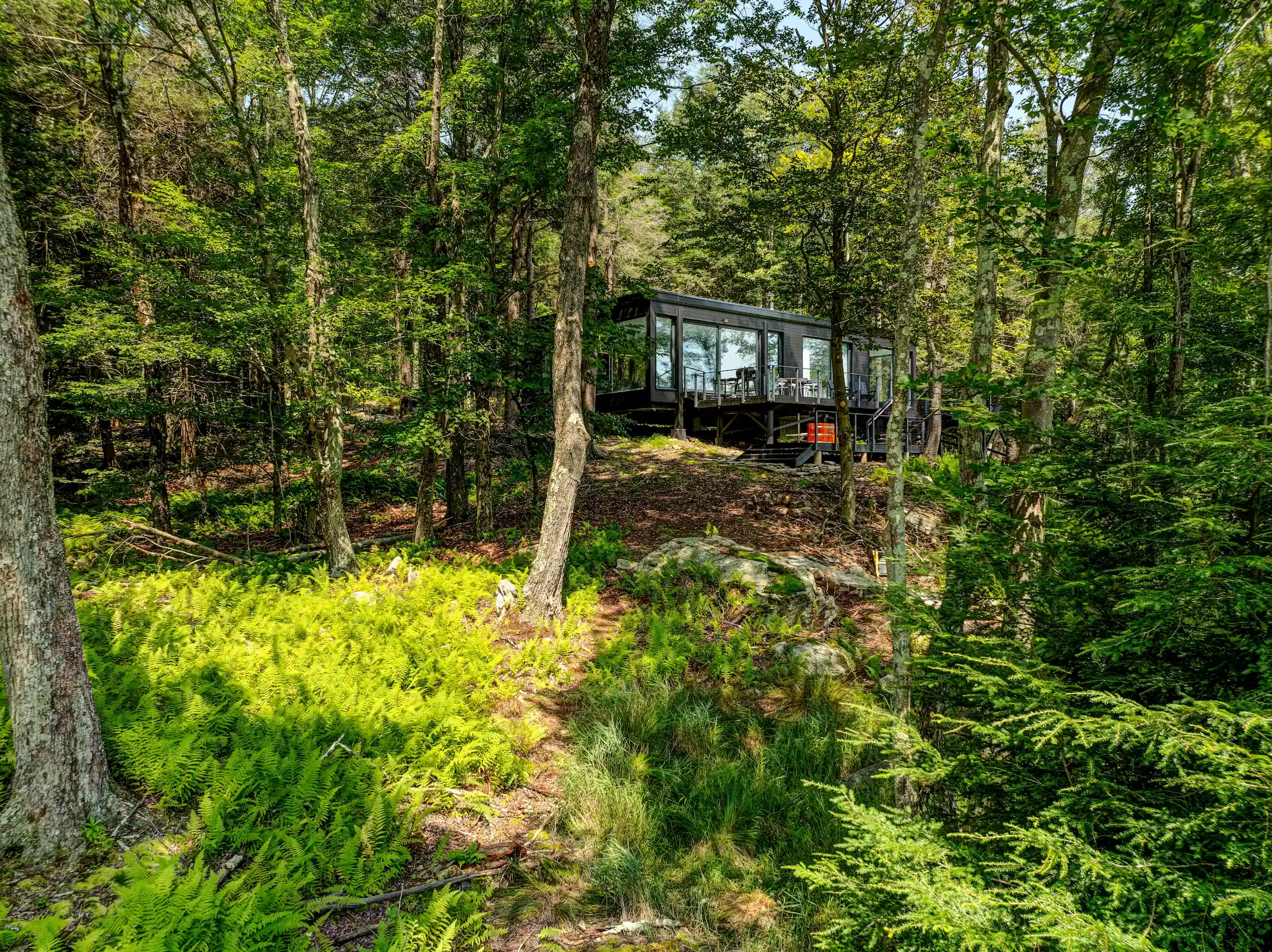 Exterior view of Camp Double Oak's black modernist glass home nestled among trees on a forested hillside