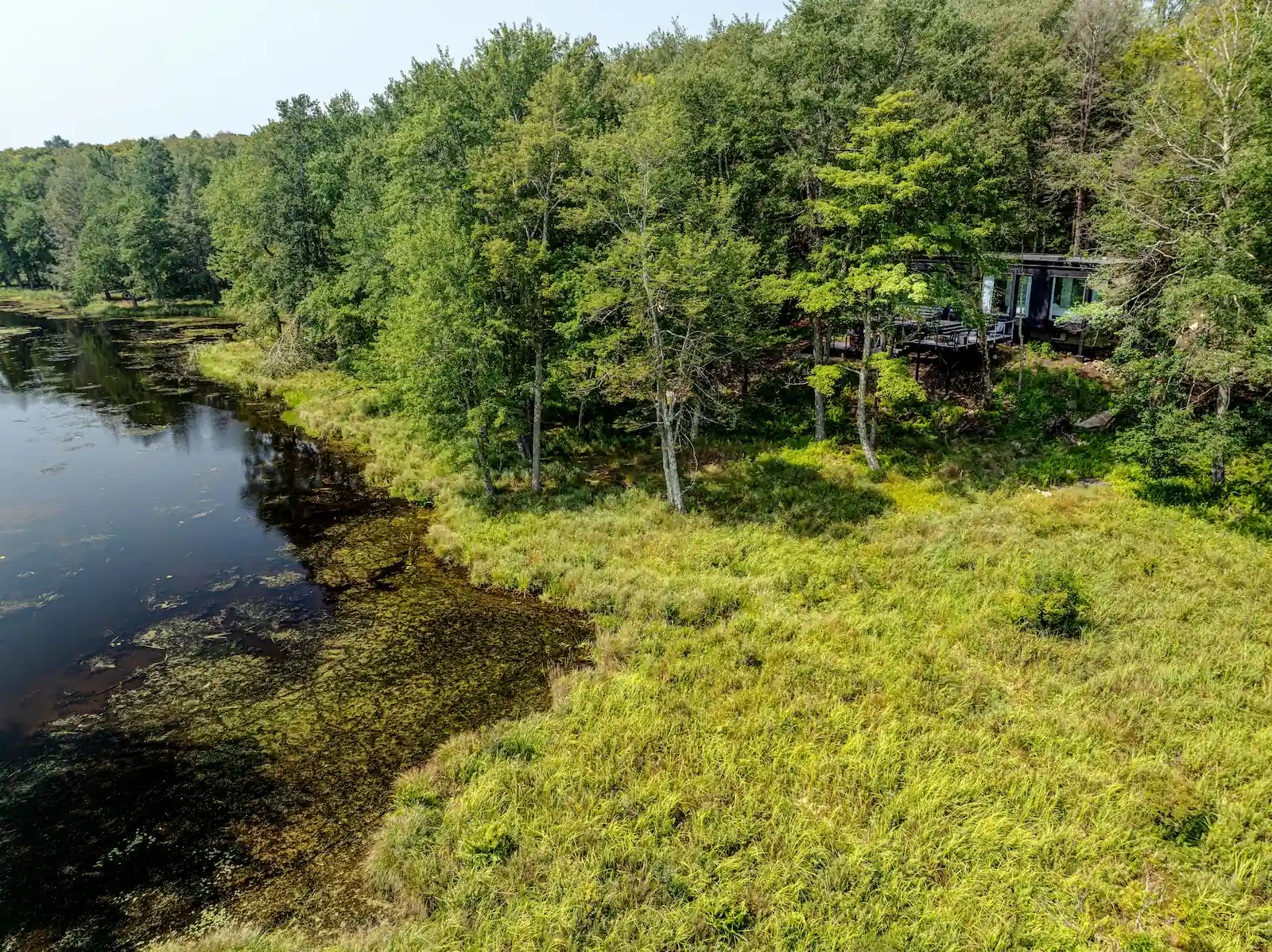 Aerial view of the lake and marsh shoreline surrounded by dense forest, with Camp Double Oak's glass exterior visible through the trees
