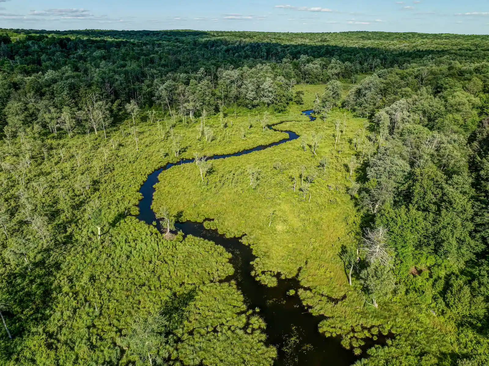 Aerial view of a wetland stream winding through dense Pocono forest surrounding Camp Double Oak.