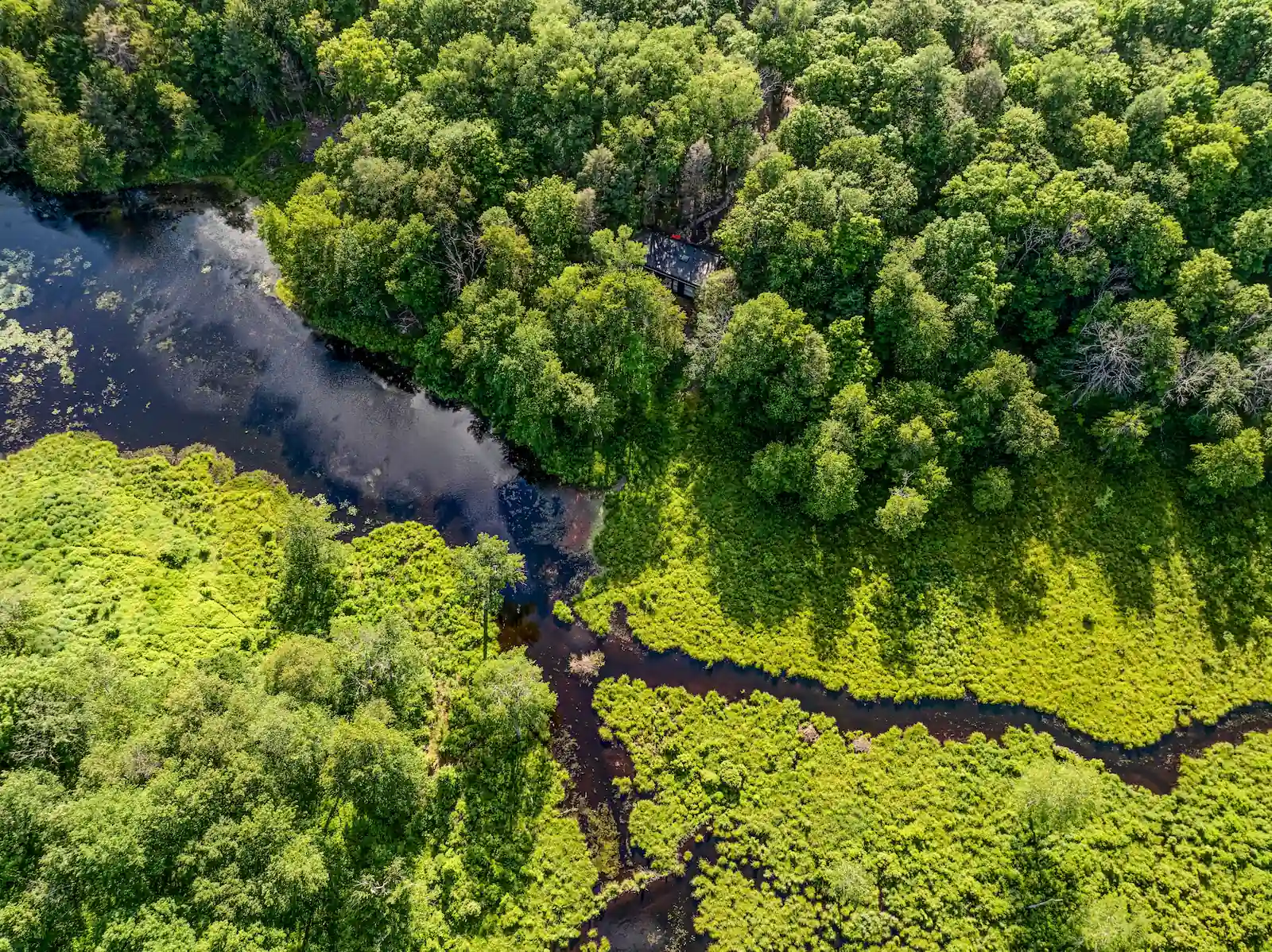 Aerial view of the private lake's wetland edges reflecting the surrounding tree canopy.