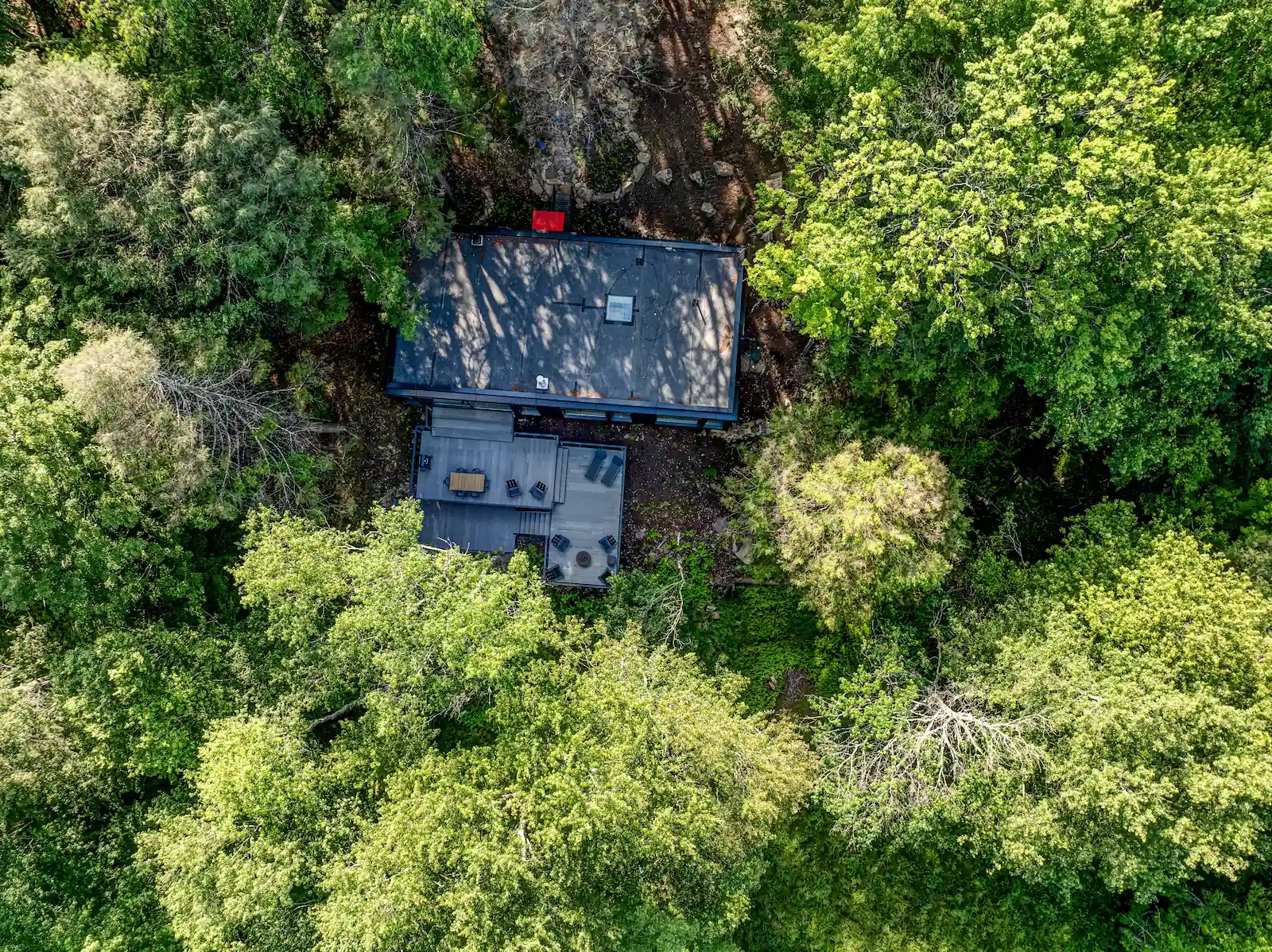 Aerial view of Camp Double Oak's dark roofline tucked into the forest canopy above the wetlands.