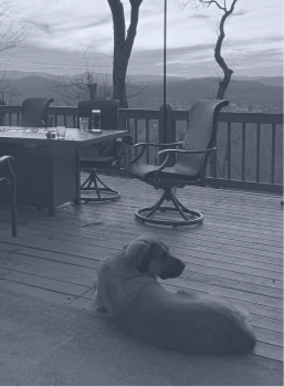 Dog lying on a wooden deck with outdoor furniture and a scenic mountain view in the background.