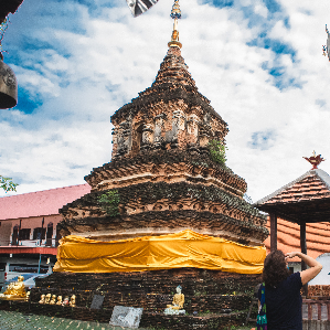image of educational workshops in progress (for an environmental conservation nonprofit)