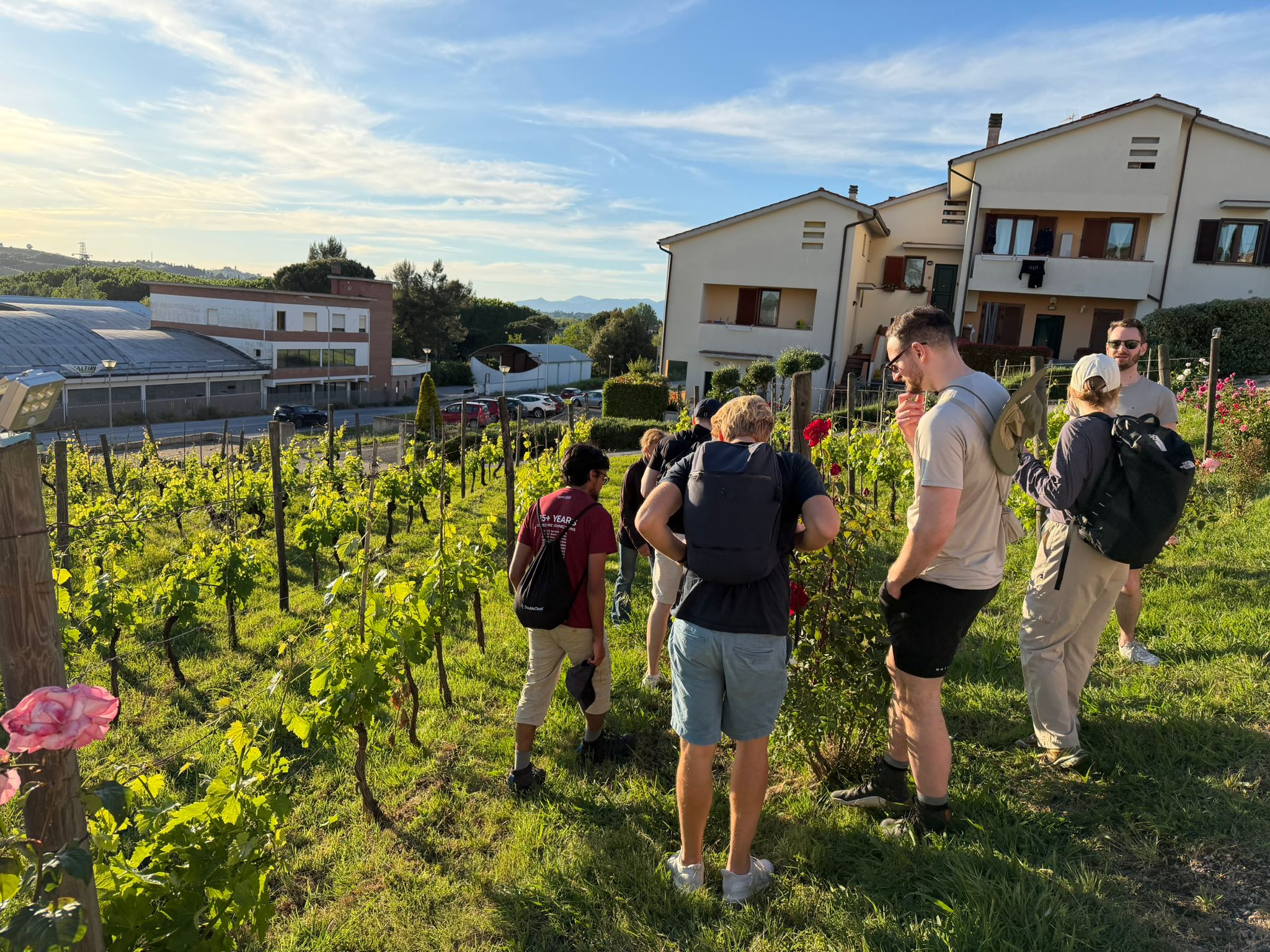 Group of people examining plants and roses in a vineyard under a blue sky near residential buildings.